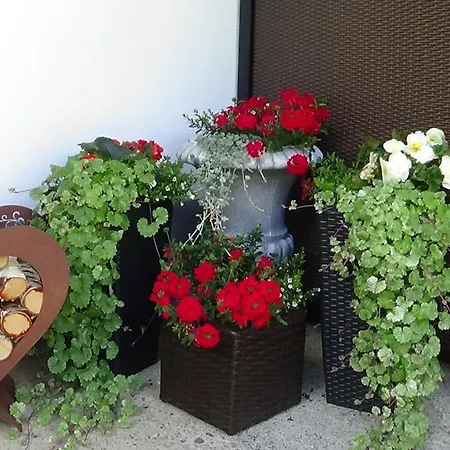 Haus Bergheim 3*